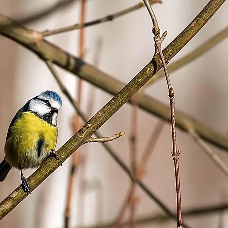 Ferme De Leuze Rustieke Nabij Durbuy, Eigen Laadpalen Somme-Leuze