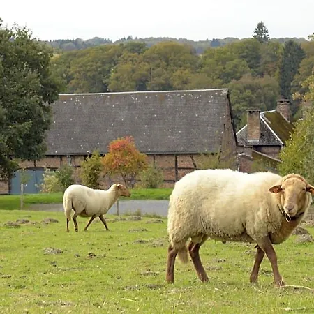 Ferme De Leuze Rustieke Nabij Durbuy, Eigen Laadpalen Bed & Breakfast Somme-Leuze