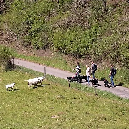 Ferme De Leuze Rustieke Nabij Durbuy, Eigen Laadpalen