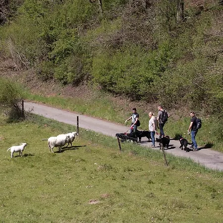 Ferme De Leuze Rustieke Nabij Durbuy, Eigen Laadpalen فندق مبيت وإفطار 2*
